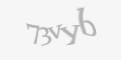 Защитный код